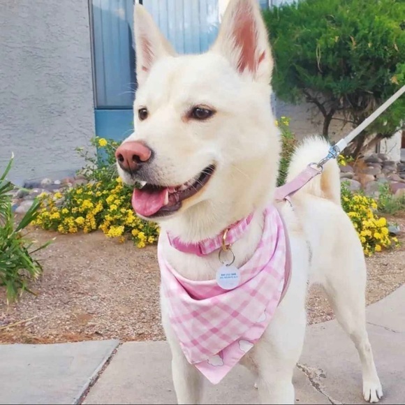 NWT Stoney Clover Reversible Bandana - Rainbow or Pink Plaid (Small or Large) - Picture 3 of 6